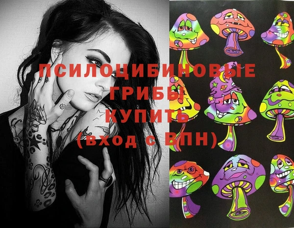 спайс Верея