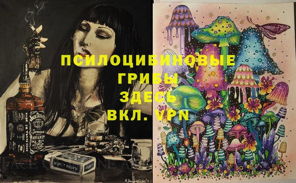 синтетический гашиш Верхний Тагил