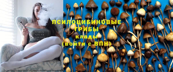 молекула духа Тутаев